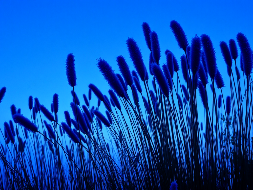 In the blue color palette inspiration