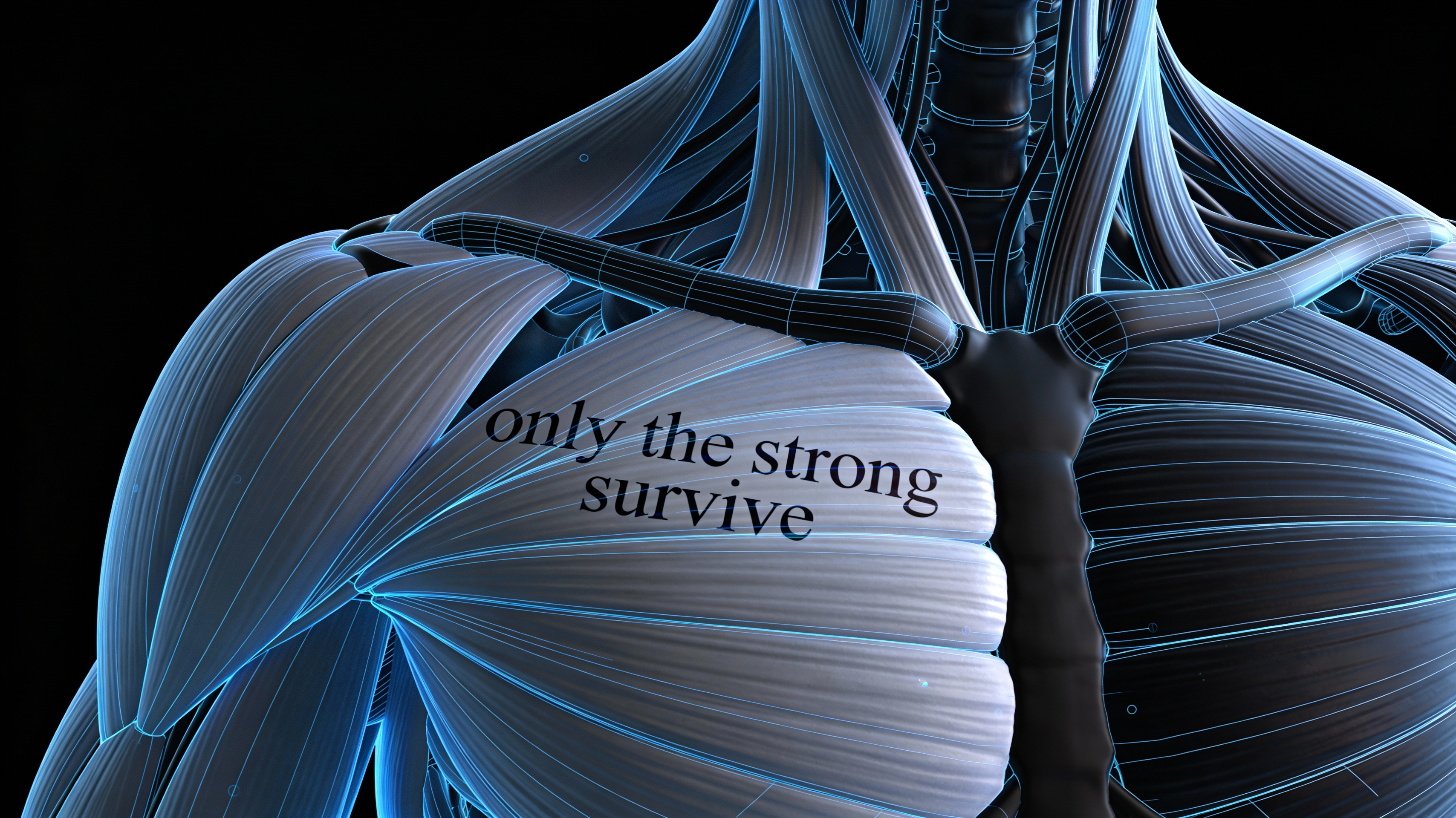 Realistic Placement Preview - Feature illustration