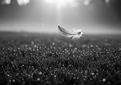 black and white photography