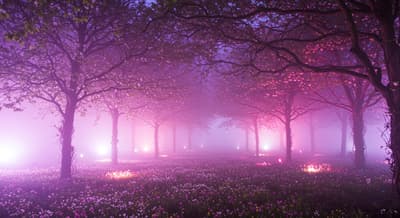 aesthetic background