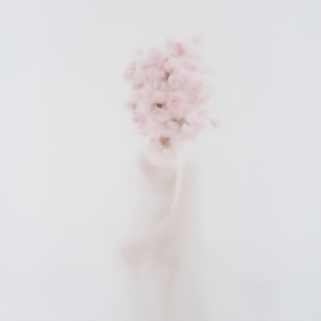Minimalist white room with bare walls, featuring a girl in an elegant dress, her face obscured by a cascade of pink peonies, captured in two high-resolution photos, showcasing intricate details and a serene atmosphere.