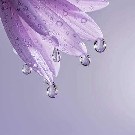 Surrealistic depiction of water droplets cascading down a flower's stem, blending seamlessly in the style of Picasso, with elements melting and intertwining in fluid forms. The colors intertwine with a delicate harmony of light silver and pale lavender, creating an intricate tapestry of layers and textures, evoking a dreamlike quality and otherworldly essence in a balanced composition.