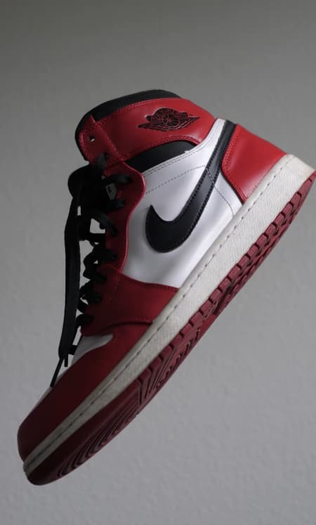 alien bug, macro focus, wet, extreme depth of field, realistic