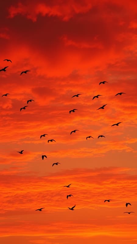 A fiery sunset transforms the sky into a canvas of brilliant reds and oranges, as birds silhouette against the vibrant backdrop, weaving intricate patterns in the glowing expanse.