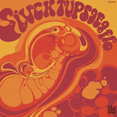 1970s rock band album cover art with psychedelic vibes and bold colors, capturing a vintage essence, featuring swirling patterns, vibrant hues, and abstract imagery, evoking a sense of nostalgia and dynamic energy.